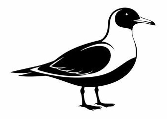 Seagull silhouette vector illustration