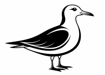 Seagull silhouette vector illustration