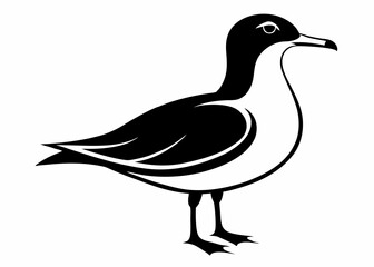 Seagull silhouette vector illustration