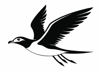 Seagull silhouette vector illustration