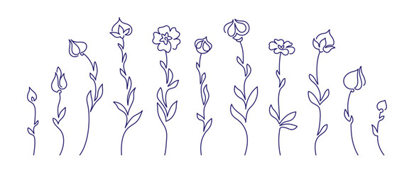 Flax line sign Minimal nature symbol Plant, flower