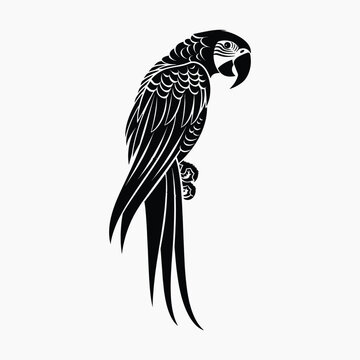 recommend clip art: Elegant parrot silhouette design
