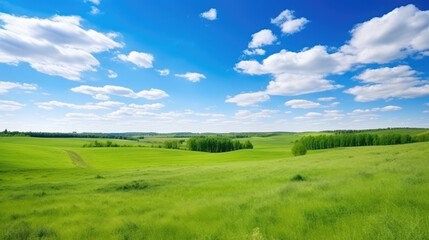Fototapeta premium Serene Green Field under Blue Sky