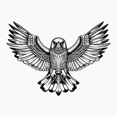 Obraz premium Intricate black-and-white owl illustration