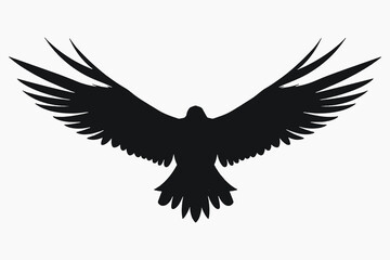 Fototapeta premium Majestic black bird silhouette soaring