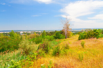 Obraz premium Serene hillside surrounded by lush greenery and gentle slopes. Field of grass with a tree in the middle