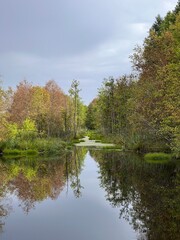 A vibrant spring scene of a raised bog with a colorful rainbow arching over a winding path, inviting exploration and connection with nature