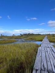 Fototapeta premium A vibrant spring scene of a raised bog with a colorful rainbow arching over a winding path, inviting exploration and connection with nature