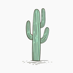 Hand-drawn cactus illustration art