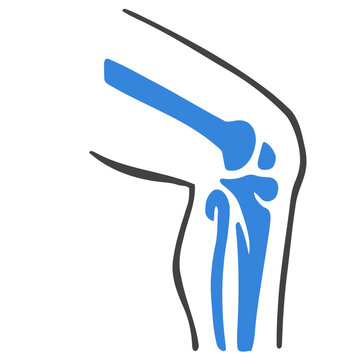 Knee bone
