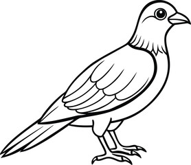 Beautiful bird icon vector illustration cute line icon