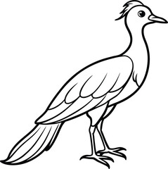 Beautiful bird icon vector illustration nature bird graphic