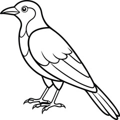 Beautiful bird icon vector illustration sketch bird concept