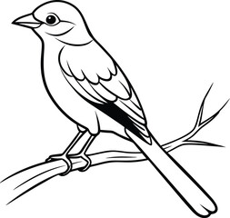 Beautiful bird icon vector illustration tropical flying bird