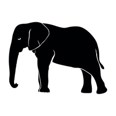Fototapeta premium set of elephants silhouettes. Animal Elephant Silhouettes vector illustration