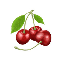 cherry with leaf watercolor