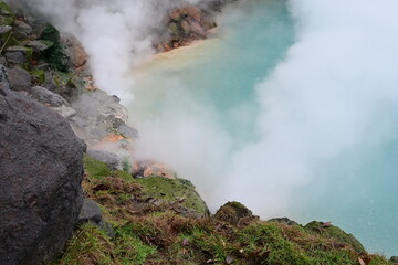 別府　地獄谷巡り