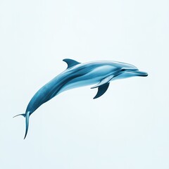 Fototapeta premium Elegant dolphin swimming in blue water with sleek silhouette