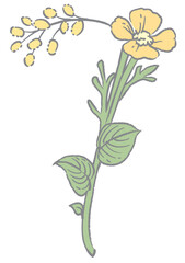 エレガントな花を使ったデザイン書体の数字。「7」。ベクター素材。