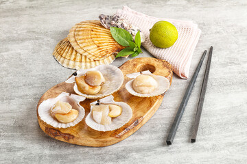 Raw natural scallop in its shell