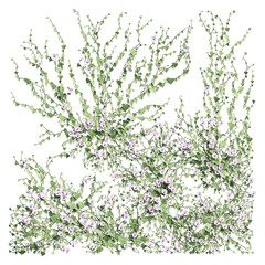 3D render of growing plant leaves isolated on a transparent background