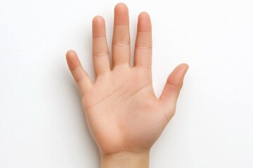 Open human hand palm on white background