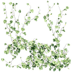 Fototapeta premium 3D render of growing plant leaves isolated on a transparent background