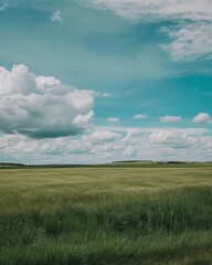 Obraz premium Expansive Countryside Field Under Cloudy Sky