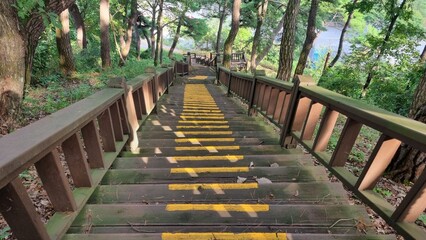 wooden stairs going down, wooden stairs in the forest, yellow line drawn on stairs
