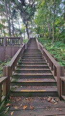 Wooden stairs in the forest, wooden stairs going up