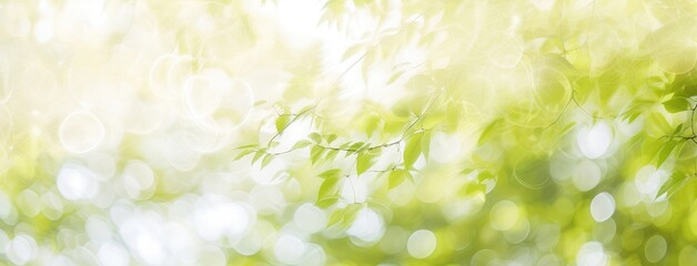 Fototapeta premium Fresh Green Leaves with Sunlight Bokeh Background