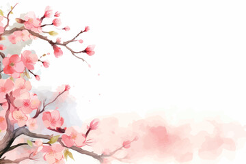 Fototapeta premium Delicate watercolor cherry blossom illustration