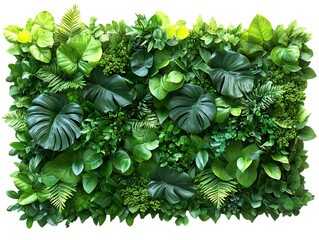 Green Wall with Lush Plants for Interior Design