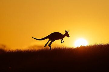 A kangaroo silhouetted against a sunset in a grassy landscape.