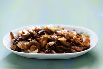 traditional chinese cuisine kung pao chicken