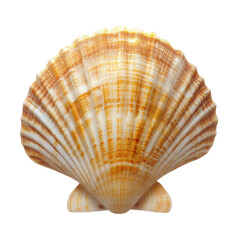 Obraz premium Orange Seashell, Intricate Pattern, Coastal Charm, Isolated on Transparent Background