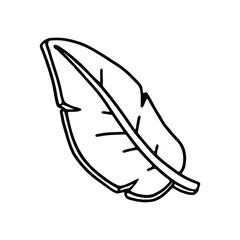 A simple black-and-white line drawing of a single leaf.