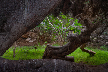 Vega Baja del Segura - Torrevieja - Parque del Molino del Agua junto a la Playa de la Mata