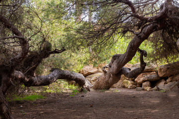 Vega Baja del Segura - Torrevieja - Parque del Molino del Agua junto a la Playa de la Mata