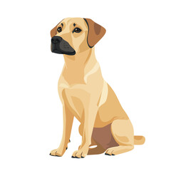 Fototapeta premium Dog vector isolated