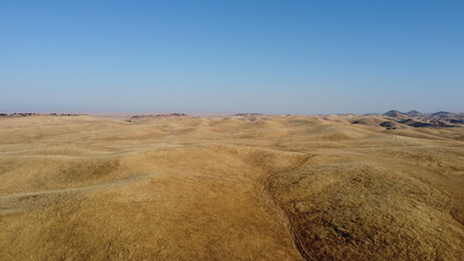 Fototapeta premium Champs de blé