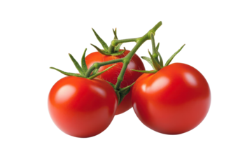 Fresh and vibrant red tomatoes on vine, perfect for culinary use, salads, and garnishing dishes. Rich in flavor and nutrients.