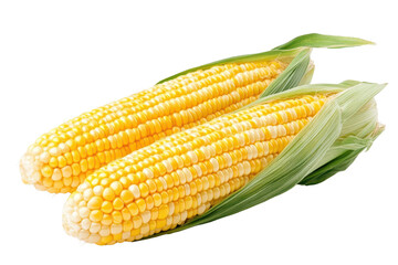 Fresh and vibrant yellow corn on the cob, perfect for summer barbecues and healthy meals, showcasing its natural beauty.