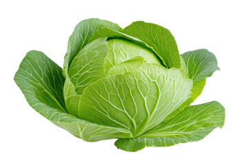 Obraz premium Fresh green cabbage with vibrant leaves, perfect for healthy recipes and vibrant vegetable displays.