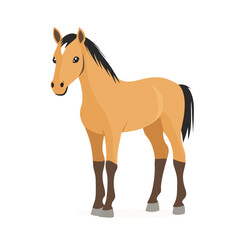 Obraz premium Horse Vector isolated