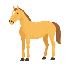 Obraz premium Horse Vector isolated