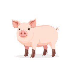 Fototapeta premium Pig vector isolated