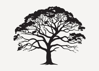 Silhouette tree black branches nature