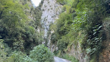 Naklejka premium strada di montagna