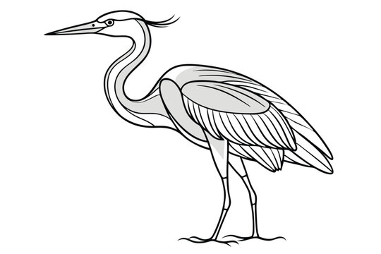 recommend clip art: Heron continuous line art drawing illustration black and white